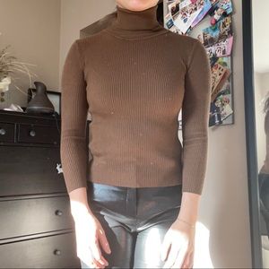 Fitted Brown Turtleneck